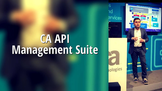 The Integration & API Company